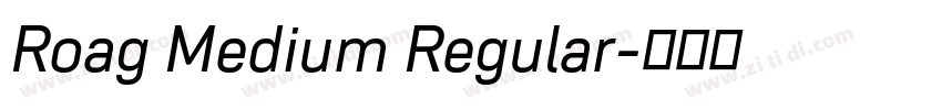 Roag Medium Regular字体转换